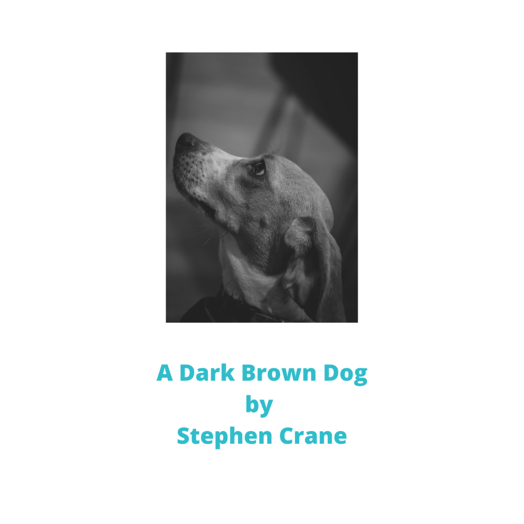 ‘A Dark Brown Dog’ By Stephen Crane - Short Story Analysis - Tina Sequeira